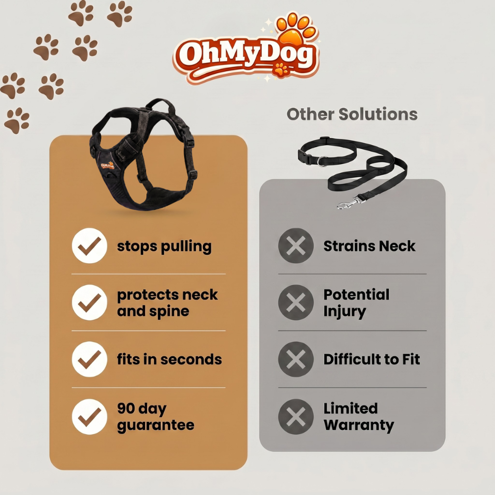No-Pull Dog Harness