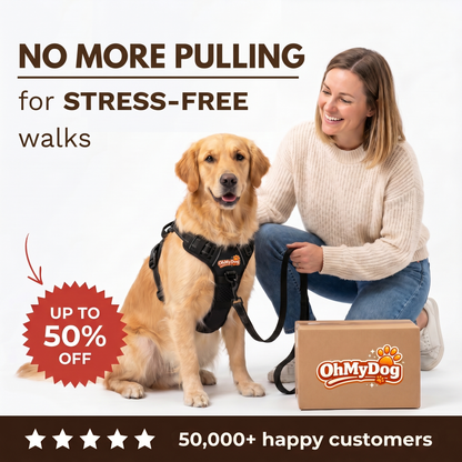 No-Pull Dog Harness