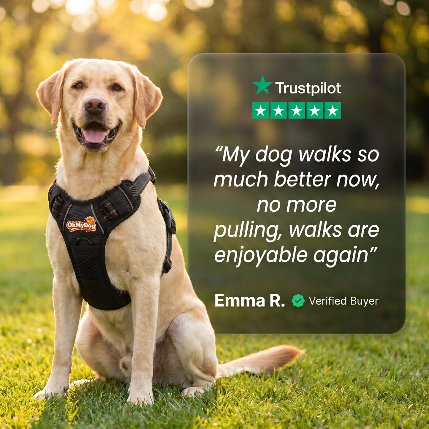 No-Pull Dog Harness