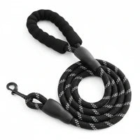 Dog leash